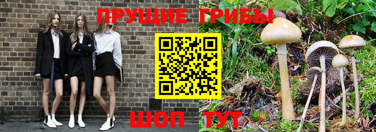 Псилоцибиновые грибы ЛСД Сарапул