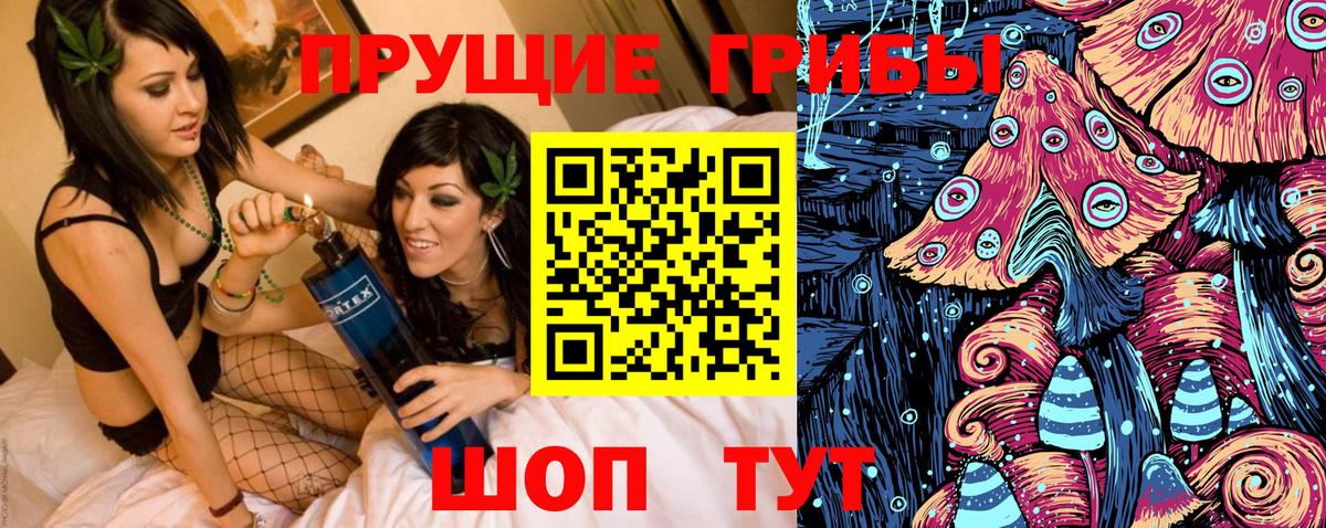 Галлюциногенные грибы Psilocybine cubensis  Вход с VPN  Сарапул 